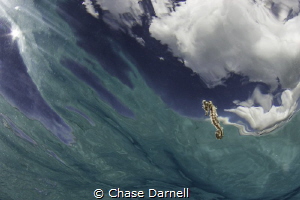 The right place at the right time is all that can be said... by Chase Darnell 